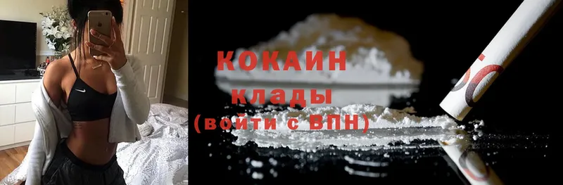 где продают наркотики  Ермолино  COCAIN Fish Scale 