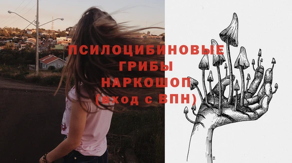 спайс Липки