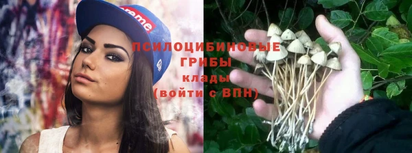 индика Домодедово